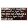 Nixie Sparkling Water Soda Zero Sugar Root Beer - Case of 12/12 fz - 3 of 4