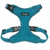 Voyager Step-In Lock Adjustable Dog & Cat Harness and 5ft Leash Combo - 2 of 4