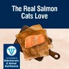 Blue Buffalo True Solutions Perfect Coat Skin and Coat Care Adult Salmon flavor Dry Cat Food - 3 of 4