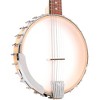 Gold Tone BT-1000 6-String Banjo Guitar Gloss Natural - 3 of 4
