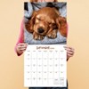 TF Publishing 13.5"x14.5" 2026 Dog Dreams Wall Calendar - 4 of 4