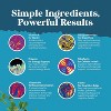 Neuro Health Brain and Focus Formula, Mental Focus Nootropic Memory Supplement for Brain Health & and Performance Blend, Nature's Craft, 60 or 90ct - 4 of 4