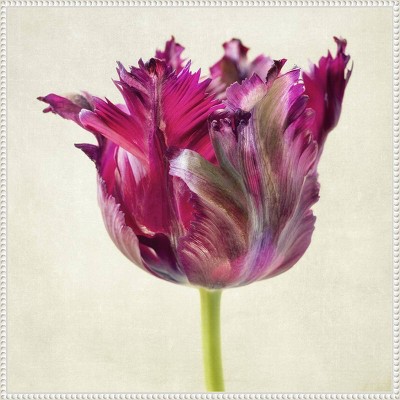 Single Parrot Tulip II 30" White Framed Canvas Wall Art