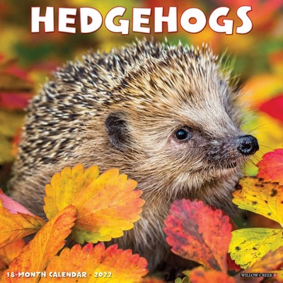 2022 Wall Calendar Hedgehogs - Willow Creek Press