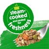 Purina Beneful Chopped Blends with Beef, Chicken & Lamb Recipes Wet Dog Food - 10oz - 4 of 4