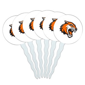 Rochester Institute of Technology Primary Logo Cupcake Picks Toppers Decoration Set of 6 - 1 of 4