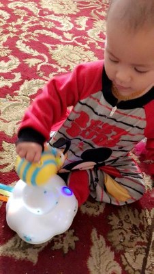 skip hop follow bee reviews