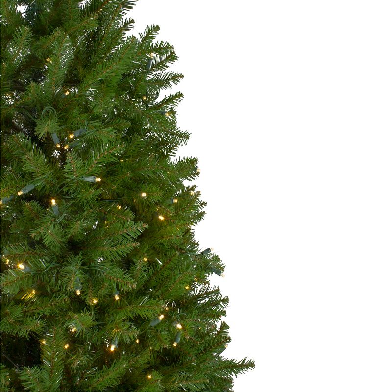 Northlight 12' Pre-lit Northern Pine Full Artificial Christmas Tree - Warm Clear LED Lights, 5 of 7