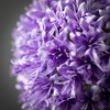 Sullivans 34.25" Artificial Lush Purple Allium Stem - 2 of 2