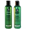 Zerran Botanum Shampoo & Equalizer Conditioner Duo – (8 oz) | Nourishing Plant-Based Hair Care for All Hair Types - 2 of 2