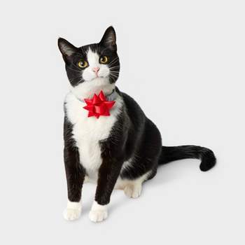 Nhl Chicago Blackhawks Cat Collar : Target