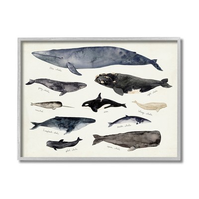 Stupell Industries Vintage Nautical Chart of Whales Ocean Life