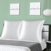 PiccoCasa Skin Luxurious Zipper Closure Satin Pillowcases 2 Pcs - 3 of 4