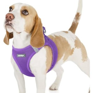 rabbitgoo Small Dog Harness, Step-in Soft Mesh Puppy Vest with Safety Buckle, Breathable Reflective Pet Harness for Small Sized Dogs, Purple M - 1 of 1