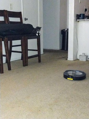 Guest review image 3 of 5, zoom in