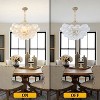 C Cattleya Luxury Gold Chandeliers with Ribbed Globe Glass - 3 of 4