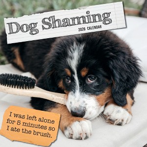 2026 Square Wall Calendar, Dog Shaming, 16-Month Humor Theme with 180 Reminder Stickers (12x12 In) - 1 of 4