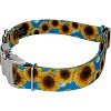 Country Brook Petz Premium Dog Collar - Floral Collection - 4 of 4
