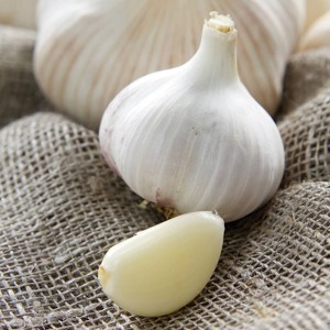 Van Zyverden 5ct 'Italian Late' Garlic Bulb - 1 of 4