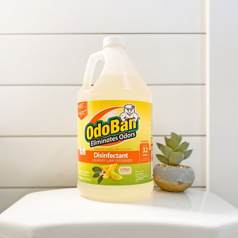 OdoBan Disinfectant Concentrate and Odor Eliminator, Citrus Scent, 4 of 5