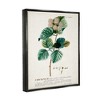 Stupell Industries Botanical Plant Illustration Seeds Vintage Design - 3 of 4