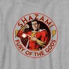 Boy's Shazam! Fury of the Gods Hero Circle T-Shirt - 2 of 4