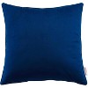 Modway Enhance 20 Performance Velvet Throw Pillow - 2 of 4