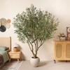 DR.Planzen 7ft Double-Trunk Artificial Olive Tree with Oversized White Planter (15" or 18"), Large Faux Olive Tree for Indoor/Outdoor Home Decor - 3 of 4