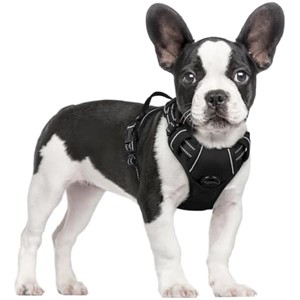rabbitgoo- Dog Harness No Pull with 2 Leash Clips, Reflective Oxford No Choke Pet Vest with Easy Control Handle for Small Dogs, Black, S - 1 of 1