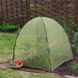 Plant Protection Domes, UV-Stabilized, 36x36x37, Weather & Pest Protection, with Galvanized Steel Hoops and Ground Pegs - 1 of 4