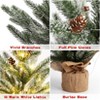 24 Inch Artificial Small Christmas Tree, 2 Ft Prelit Table Top Christmas Tree Mini Frosted Pine Tree - 3 of 4