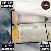 Wilson's Decorative White Birch Log Bundle - 18" Length - 2 of 3