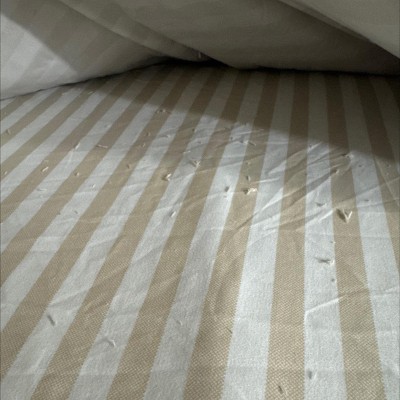 Guest review image 1 of 1, zoom in