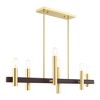 Livex Lighting Helsinki 6 - Light Chandelier in  Satin Brass/Bronze - 4 of 4