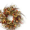 Melrose Cape Gooseberry Wreath 20"D - 2 of 3