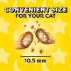Temptations Tasty Human Haunted House with Chicken and Beef Flavor Halloween Cat Treats - 3oz - 3 of 4