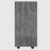 Lindon Bar Cabinet - RST Brands - image 3 of 4
