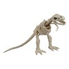 Seasons 2.5 ft Animated Light-Up T-Rex Dinosaur Skeleton Halloween Decoration - Off-White - image 2 of 2