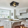 DAKAFUL 2-Light Black Farmhouse Flush Mount Ceiling Light - 3 of 4
