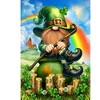 Briarwood Lane St. Patrick's Day House Flag 40x28 For Outdoor Lucky Irish Gnome For St. Patrick's Day House Flag - 3 of 4