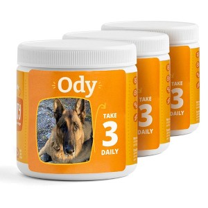 PetFriendly Mobility Hip & Joint Supplement for Dogs - 1 of 4