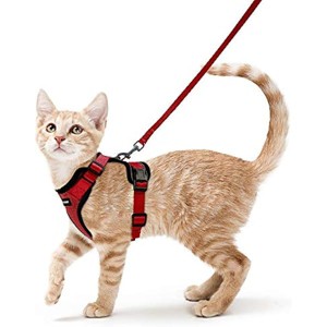 rabbitgoo Cat Harness and Leash Set for Walking, Escape Proof with 59 Inches Leash - Adjustable Reflective Strips & 1 Metal Leash Ring - 1 of 1