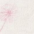 ivory/pink