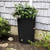 Good Ideas Impressions 50-Gallon Rain Saver Barrel Faux Palm Trunk Surface, Dual Spigot Locations with 2 Brass Spigots and Screen, Black - 2 of 4