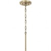 Capital Lighting Max 1 - Light Pendant in  Brass and Onyx - 3 of 3
