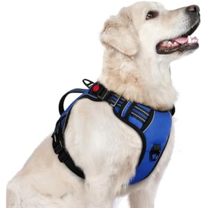 rabbitgoo Dog Harness for Large Dogs, , , Easy Walking Harness with 2 Leash Clips, Blue, L - 1 of 1