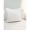 Rope Piping Linen Pillow - 2 of 4