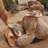 The Sak Women's Shana Sandal - 2 of 4