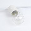 Novelty Lights Edison Outdoor String Lights with 50 In-Line Sockets White Wire 100 Feet - 4 of 4