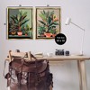 Stupell Industries Various House Plants, 31" x 25" - 3 of 4